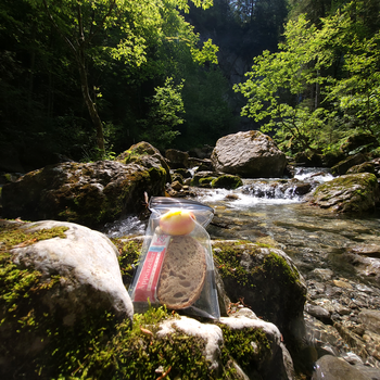 aLOKSAK 5x8 XLarge Phone - 2 pcs (12.1 x 20.3 cm)